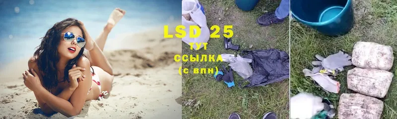 где найти наркотики  MEGA как зайти  LSD-25 экстази ecstasy  Богородицк 